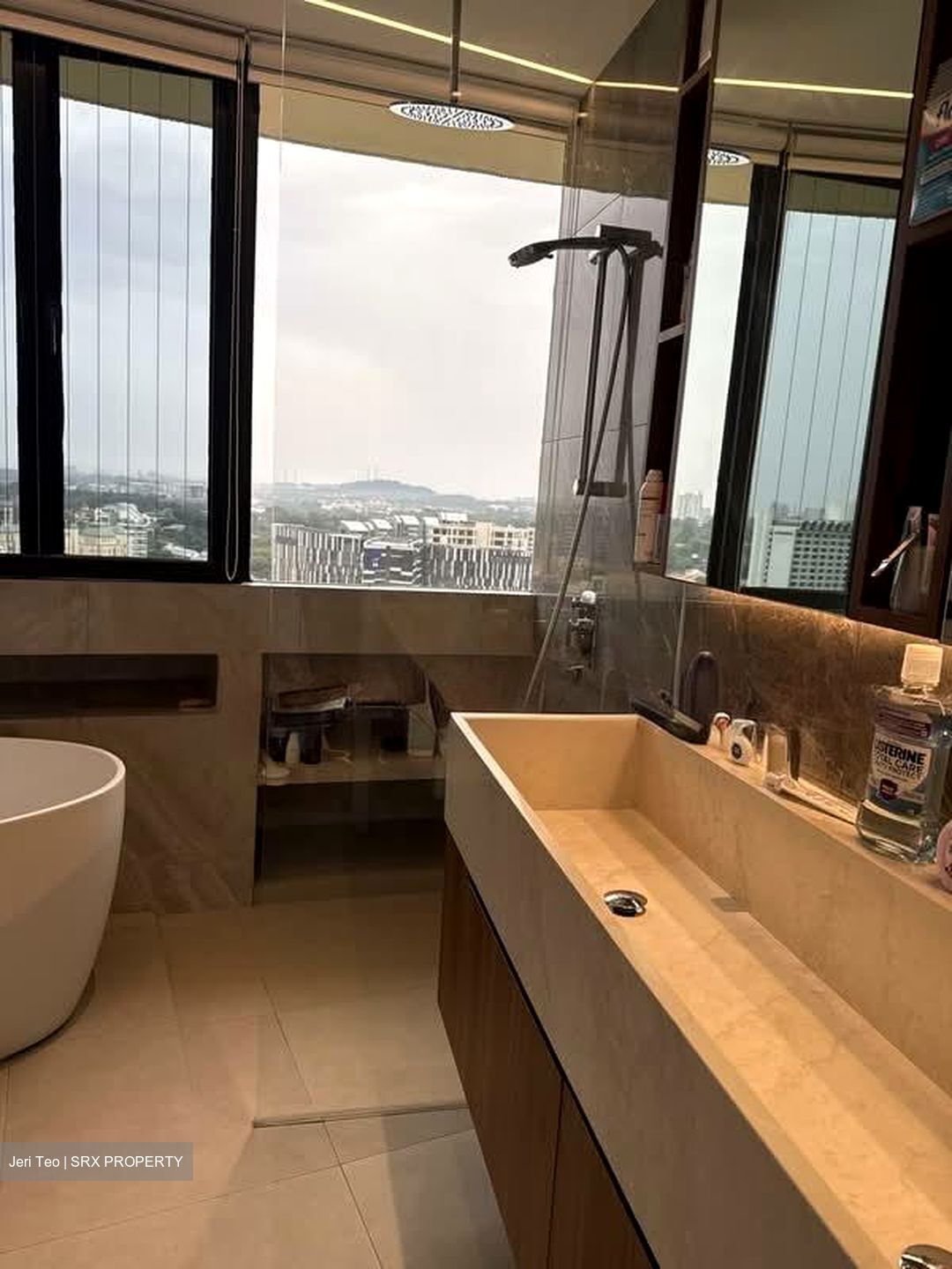 The Draycott (D10), Apartment #570574231